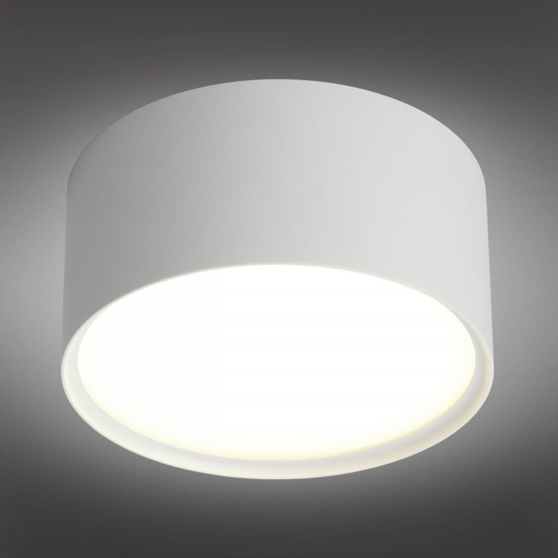 Накладной светильник Omnilux OML-100909-12