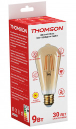 Светодиодная лампа THOMSON TH-B2130
