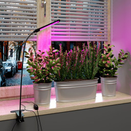 Светильник для растениеводства Elektrostandard Светильник для растений FT-004 Чёрный