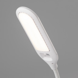 Настольная лампа Eurosvet 80503/1 белый