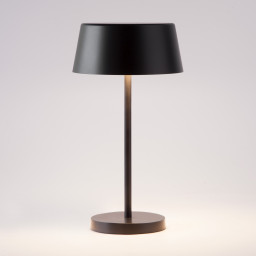 Настольная лампа Eurosvet 80424/1 черный