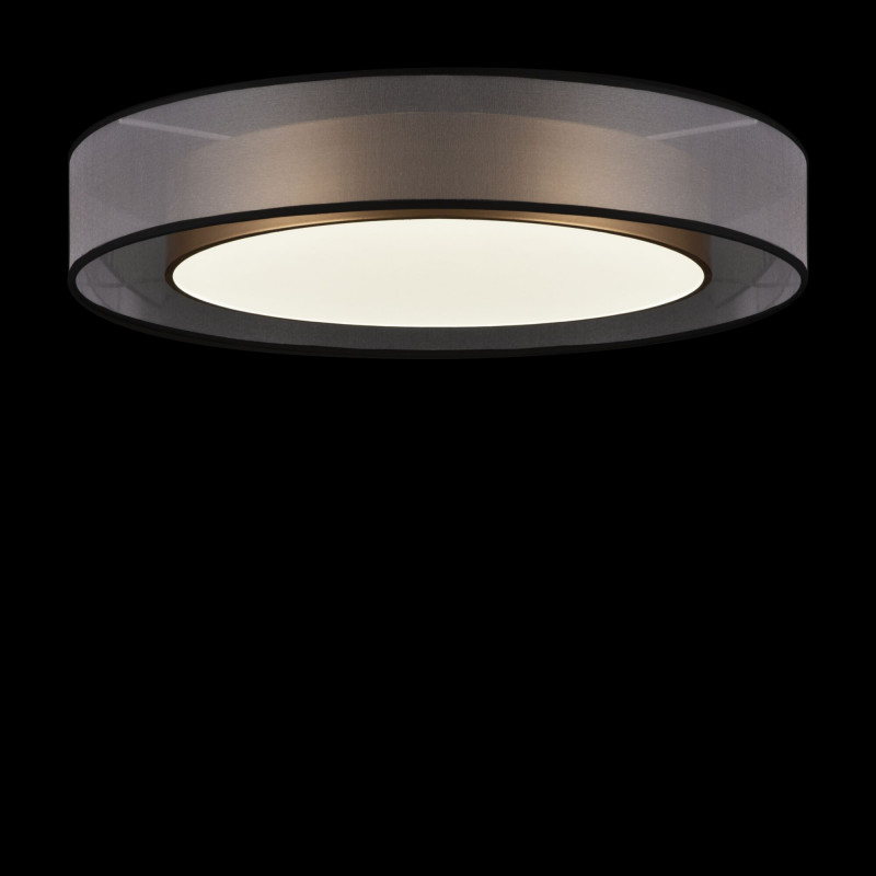 Накладной светильник Freya FR6005CL-L48G