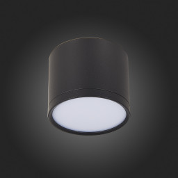 Накладной светильник ST-Luce ST113.442.09