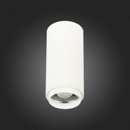Накладной светильник ST-Luce ST600.532.10