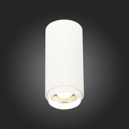 Накладной светильник ST-Luce ST600.542.10