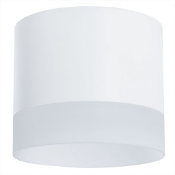 Накладной светильник ARTE Lamp A5554PL-1WH
