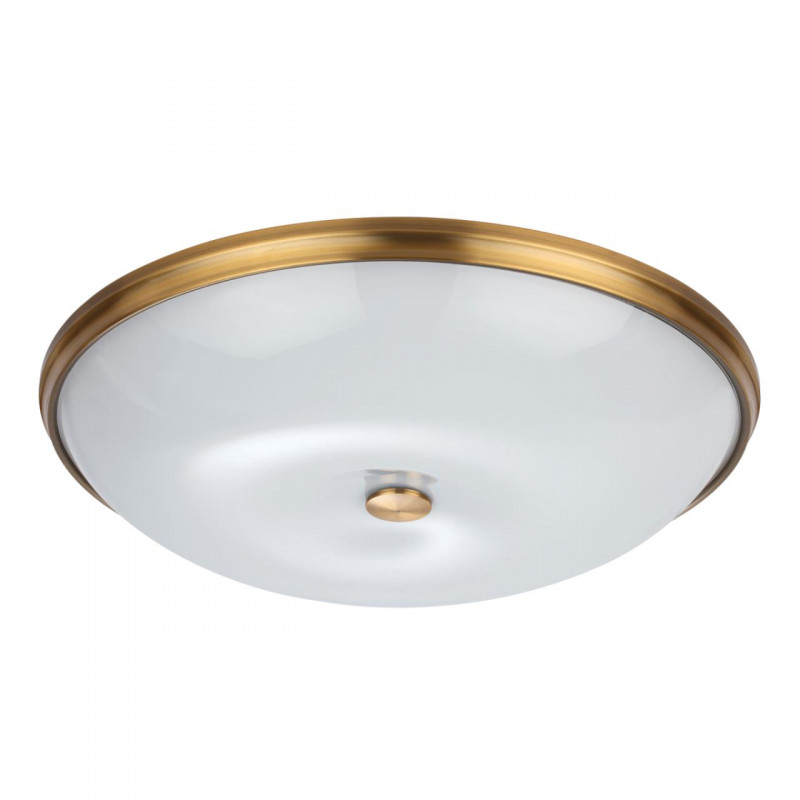 Накладной светильник Odeon Light 4956/6