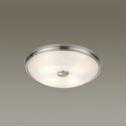 Накладной светильник Odeon Light 4957/4