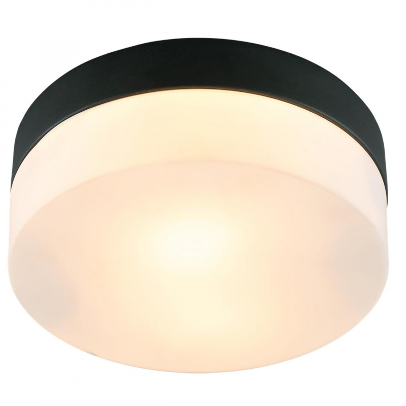 Накладной светильник ARTE Lamp A6047PL-1BK светильник светодиодный накладной rev cсп1200 g13 t8 1280х100х90 мм 18 вт 220 в 6500к холодный белый свет призма ip65 линейный белый с влагозащитой