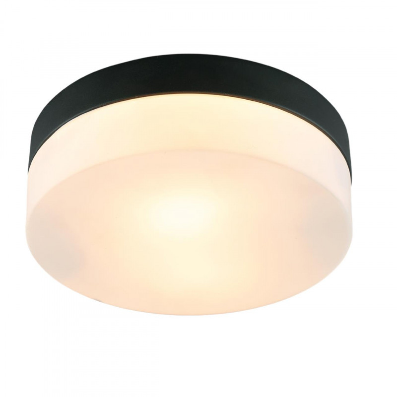Накладной светильник ARTE Lamp A6047PL-2BK - фото 1