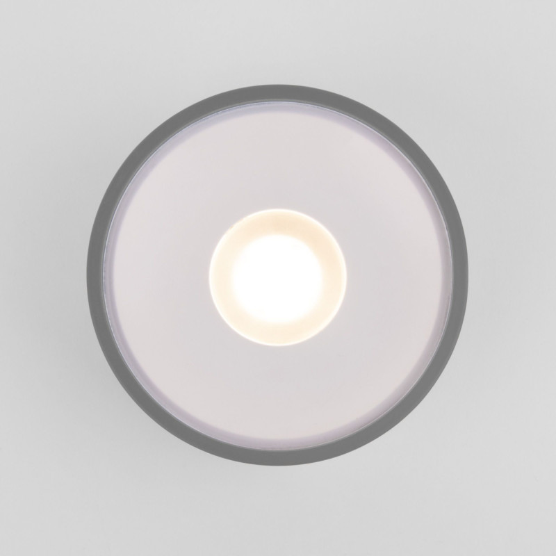 Накладной уличный светильник Elektrostandard Light LED 2135 (35141/H) серый