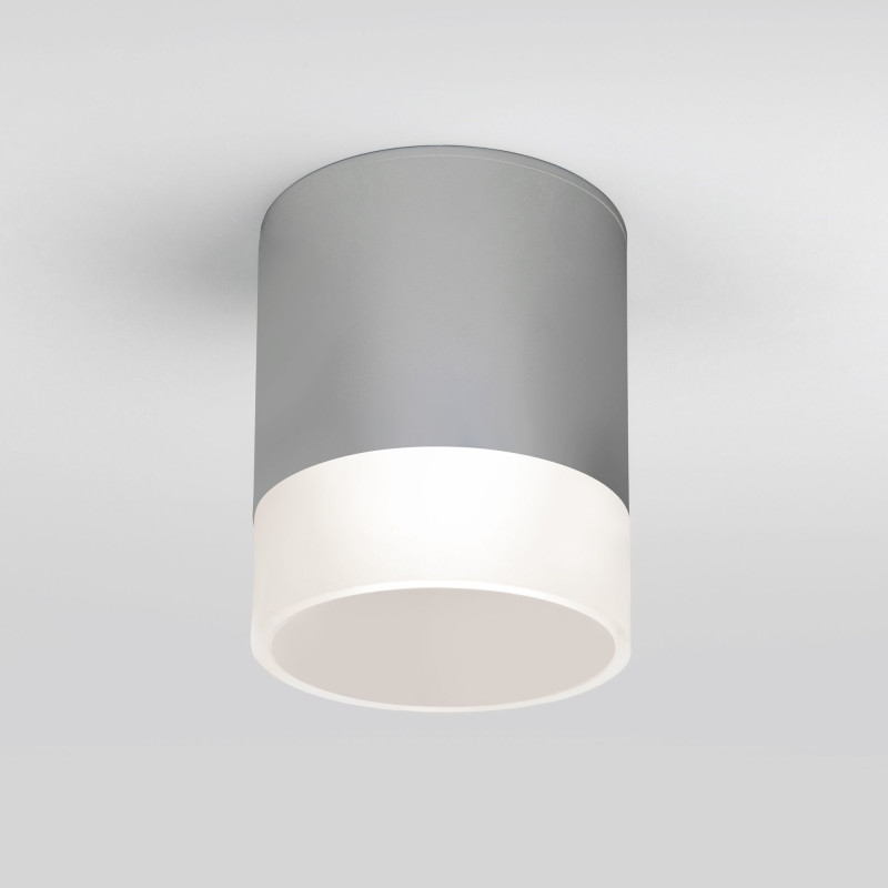 Накладной уличный светильник Elektrostandard Light LED 2107 (35140/H) серый