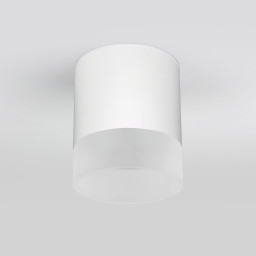 Накладной уличный светильник Elektrostandard Light LED 2107 (35140/H) белый