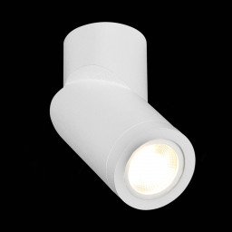 Накладной светильник ST-Luce ST650.502.01