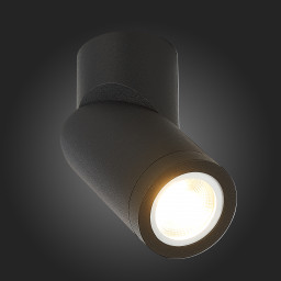 Накладной светильник ST-Luce ST650.402.01