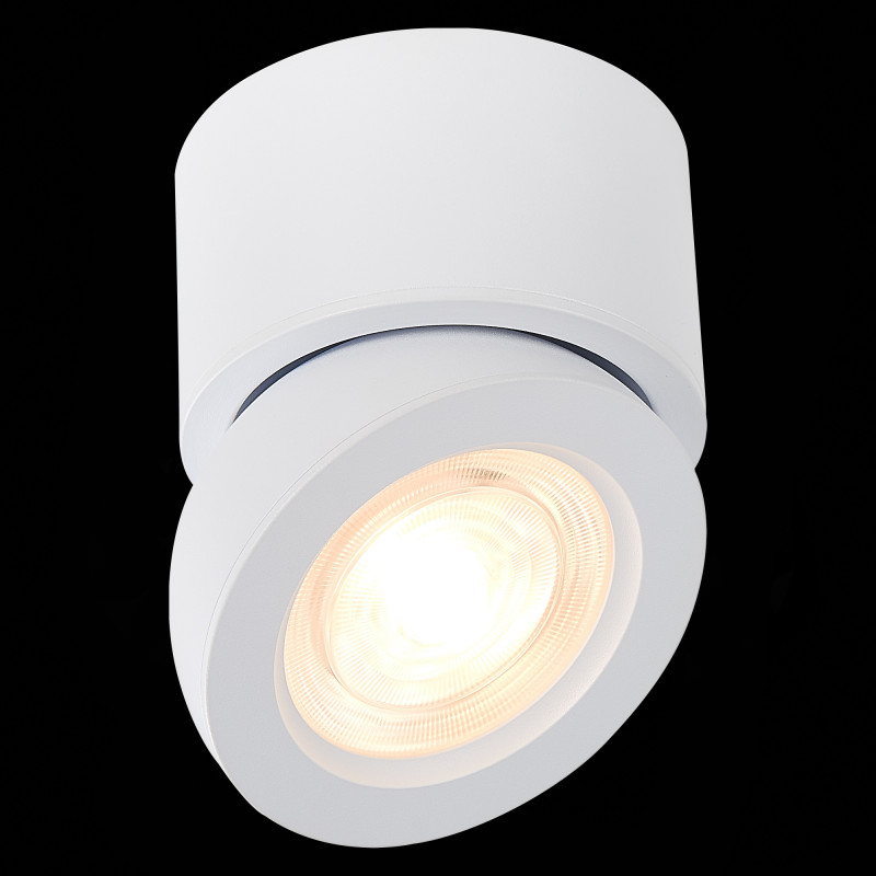 Накладной светильник ST-Luce ST654.532.10