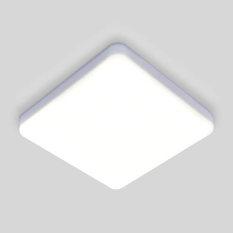Накладной светильник Elektrostandard DLS043 10W 4200K потолочный светодиодный светильник elektrostandard dlr024 6w 4200k белый матовый 4690389121951