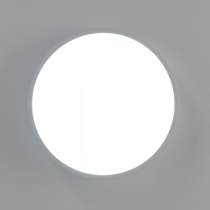 Накладной светильник Citilux CL72424V0