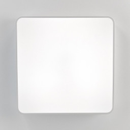 Накладной светильник Citilux CL724K95G0