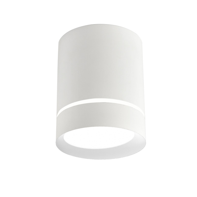 Накладной светильник Favourite 3064-1C, цвет белый - фото 1