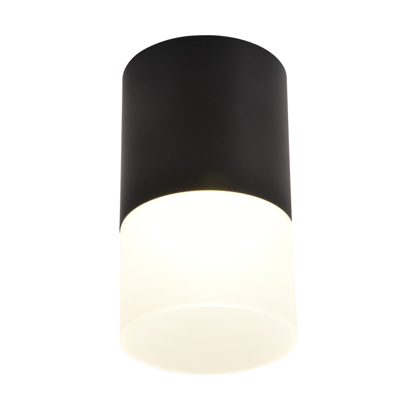 Накладной светильник Favourite 3070-1C, цвет белый - фото 1