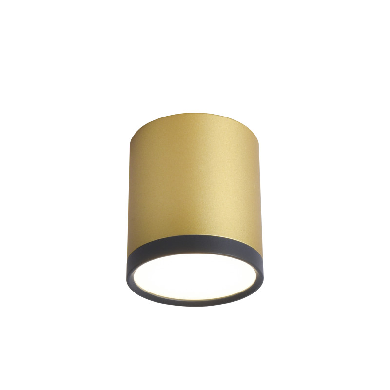 Накладной светильник Favourite 3082-1C, цвет золотой - фото 1