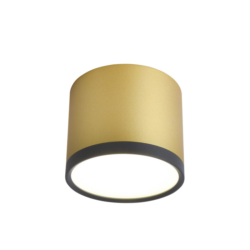Накладной светильник Favourite 3082-2C, цвет золотой - фото 1