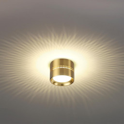 Накладной светильник Odeon Light 6607/1C
