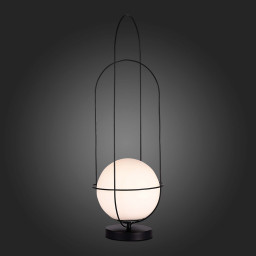 Настольная лампа ST-Luce SL1189.404.01