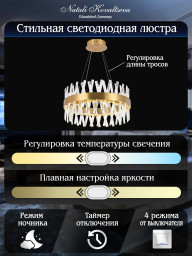 Подвесная люстра Natali Kovaltseva LED LAMPS 81244