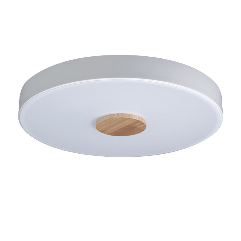 Накладной светильник LOFT IT 10003/24 White потолочный светильник loft it axel 10002 48 white