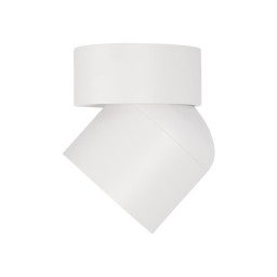 Накладной светильник LOFT IT 10180 White