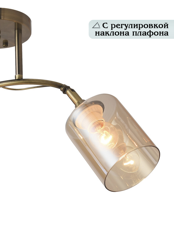 Подвесной светильник Natali Kovaltseva 81452/2W