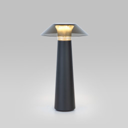 Настольная лампа Elektrostandard Future чёрный (TL70200)