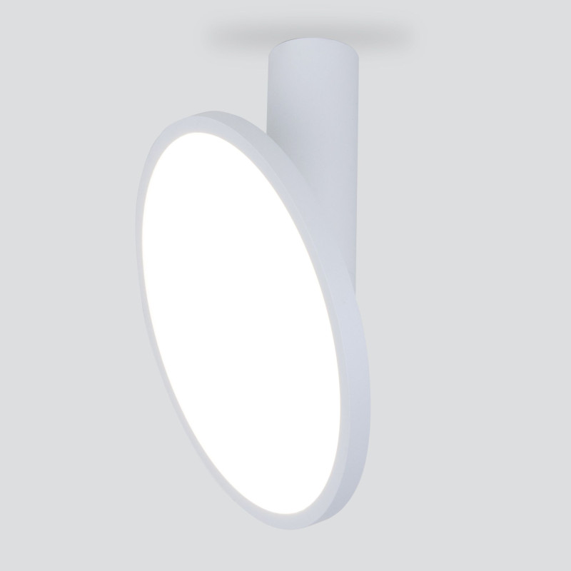Накладной светильник Elektrostandard DLS029 12W 4200K белый матовый
