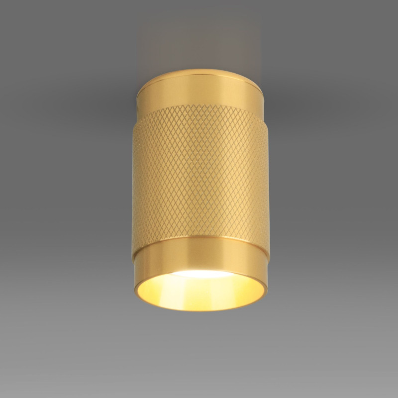 Накладной светильник Elektrostandard DLN109 GU10 золото подвесной светильник elektrostandard 50122 1 gu10 чёрный золото