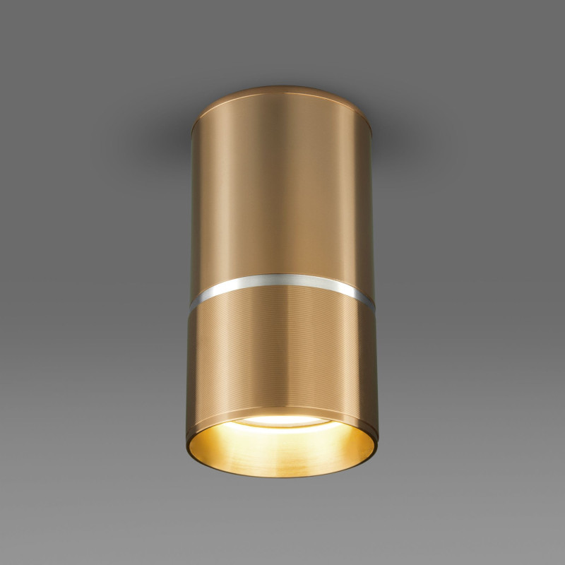 Накладной светильник Elektrostandard DLN106 GU10 золото накладной светильник elektrostandard dln102 gu10 белый золото
