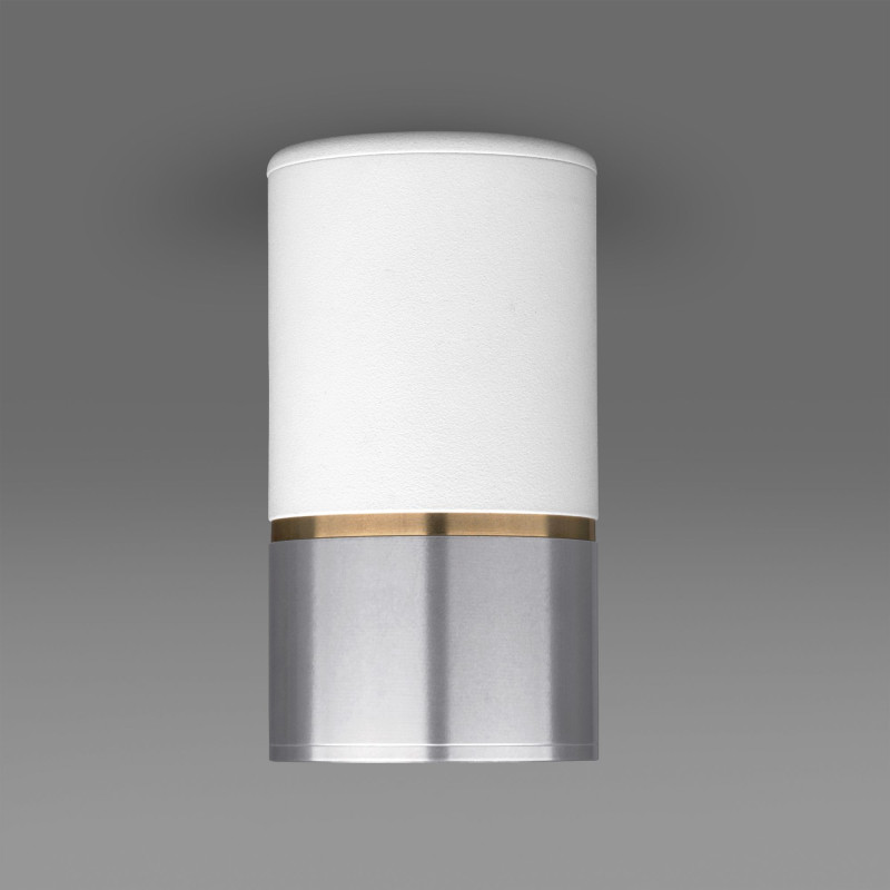 Накладной светильник Elektrostandard DLN106 GU10 белый/серебро