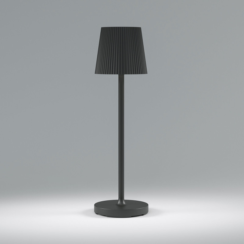 Настольная лампа Elektrostandard Mist черный (TL70220)