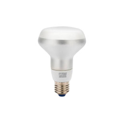 Светодиодная лампа Duralamp 027R80