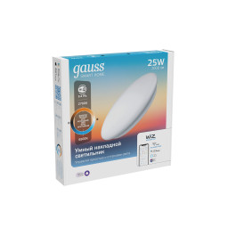 Накладной светильник Gauss 2050112