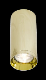 Накладной светильник Maytoni Technical C010CL-01G