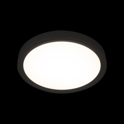 Накладной светильник LOFT IT 10227/24 Black