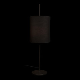 Настольная лампа LOFT IT 10253T Black