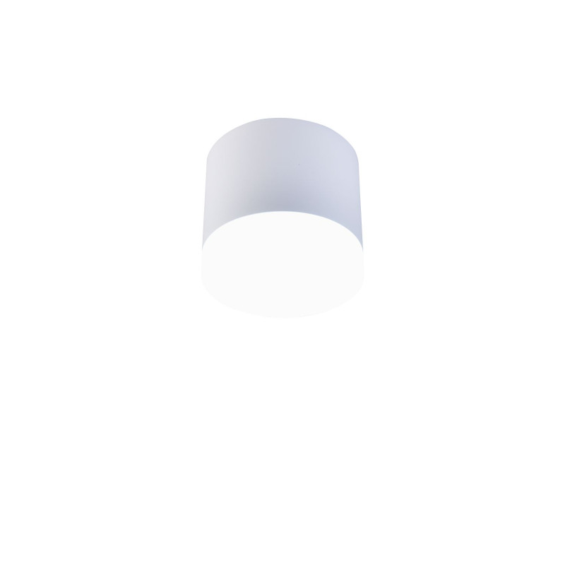 Накладной светильник Favourite 4215-1C садовый светильник на солнечной батарее накладной 8 × 12 × 5 см 1 led свечение белое