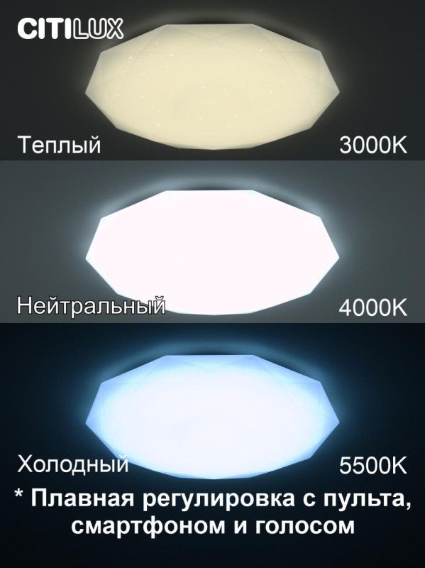 Накладной светильник Citilux CL733900G