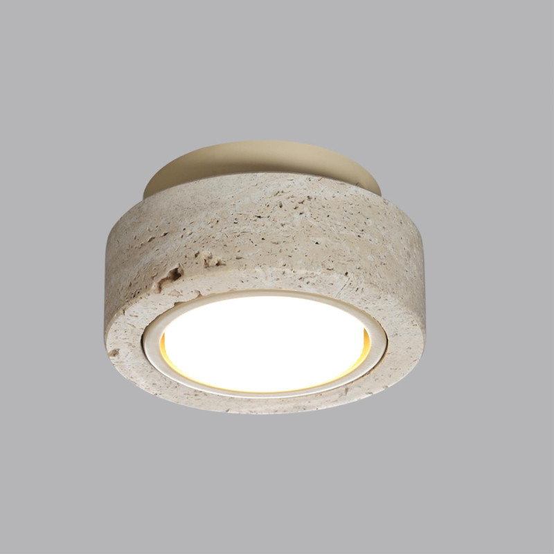 Накладной светильник Odeon Light 6625/1C