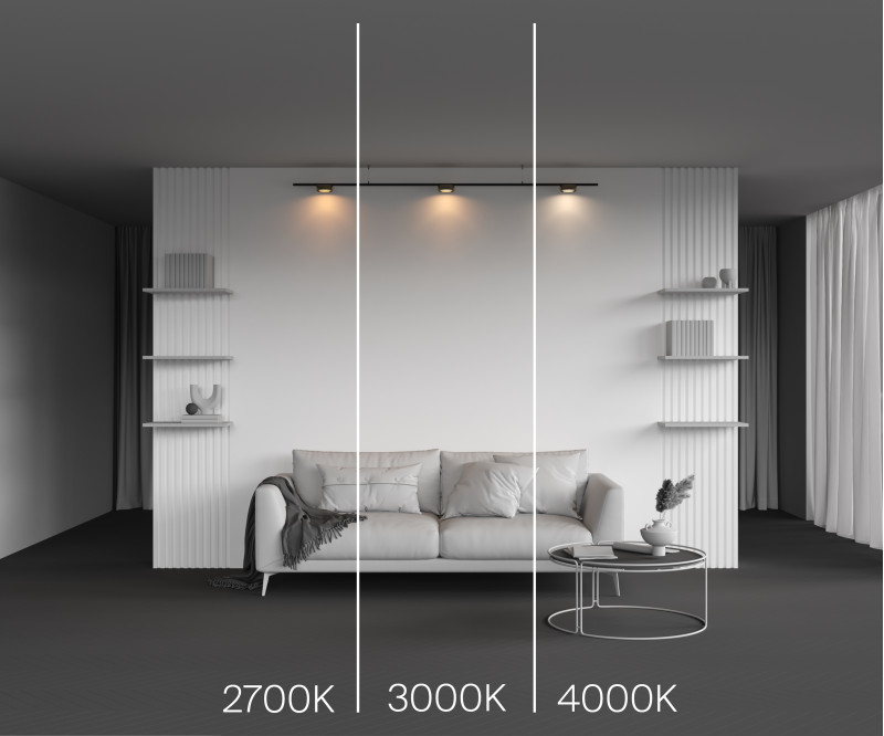 Светильник на шине Maytoni Technical TR189-1-12W2.7K-BBS