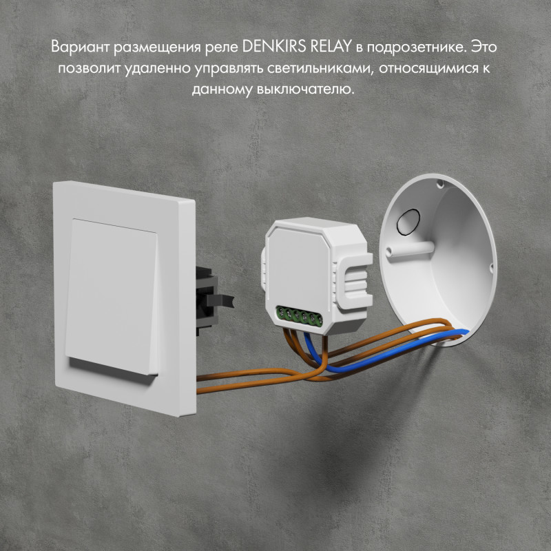 Wi-Fi реле Denkirs RL1003-DM