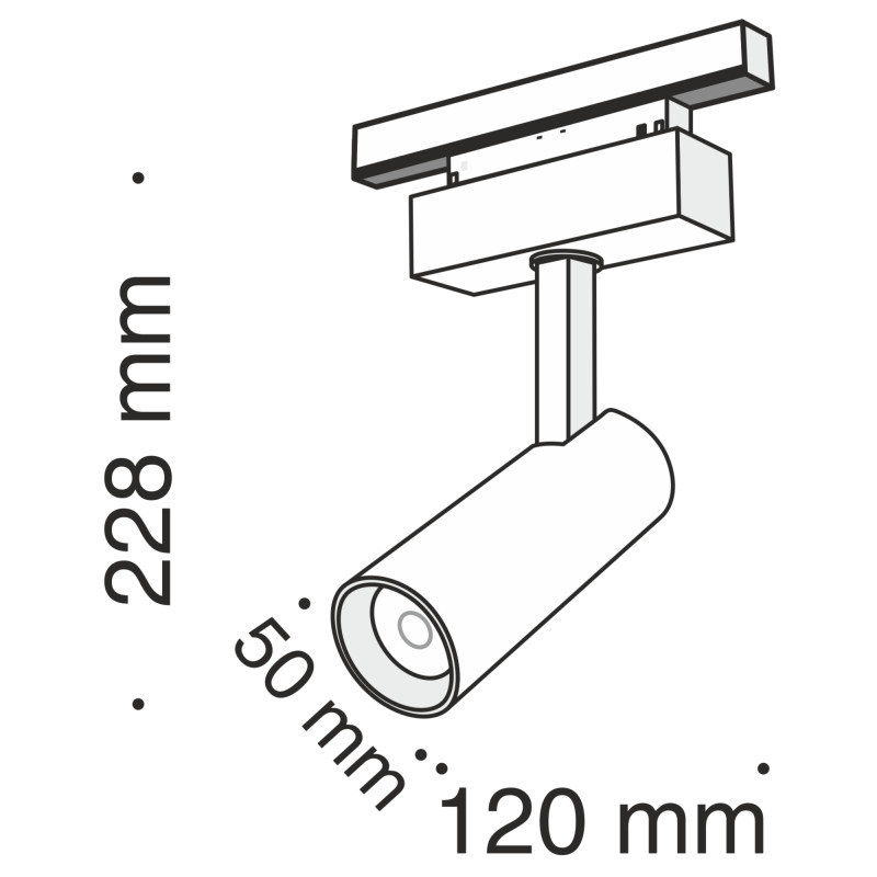 Светильник на шине Maytoni Technical TR019-2-10W4K-B